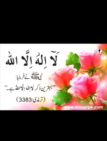 Islamic Quotes image