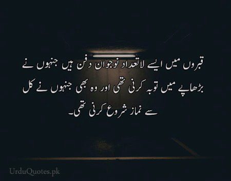 🍁Zoq_Shab🍁