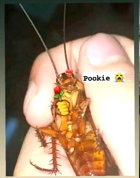 Act like an angel look like crazy