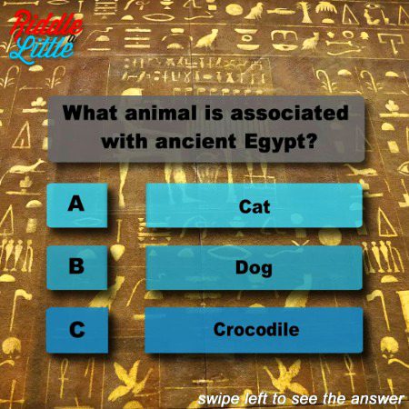 Knowledge Test image