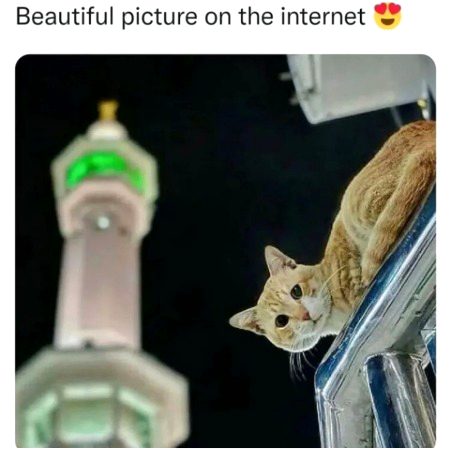 Beautiful Nature image