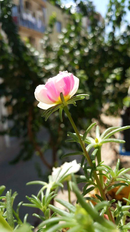 Beautiful Nature image