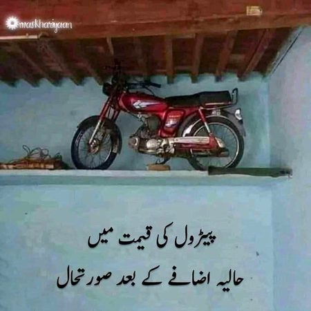 Memes & Satire image