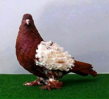 BEAUTIFUL NATURE