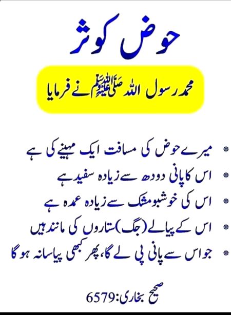 Vnkughiytg hgfvbjut jgcvb