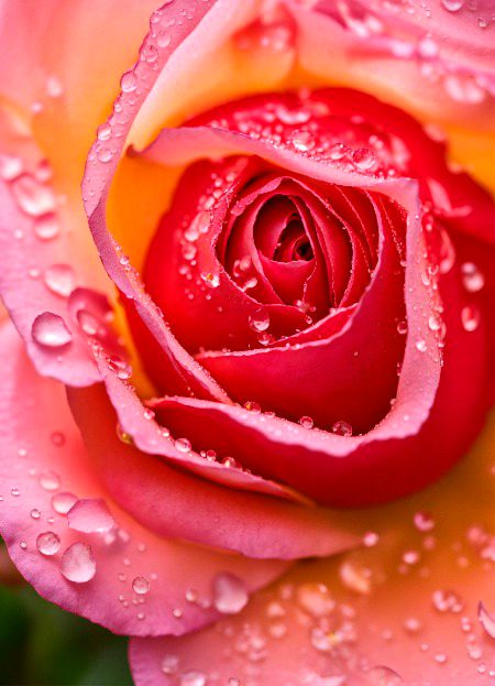 Beautiful Nature image