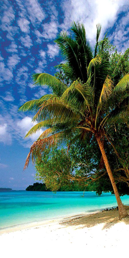 Beautiful Nature image