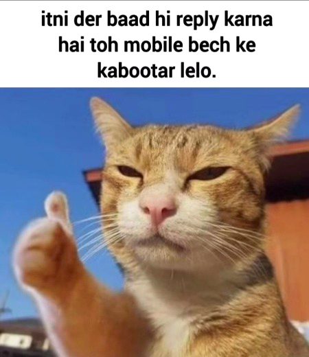Memes...🥀🙂