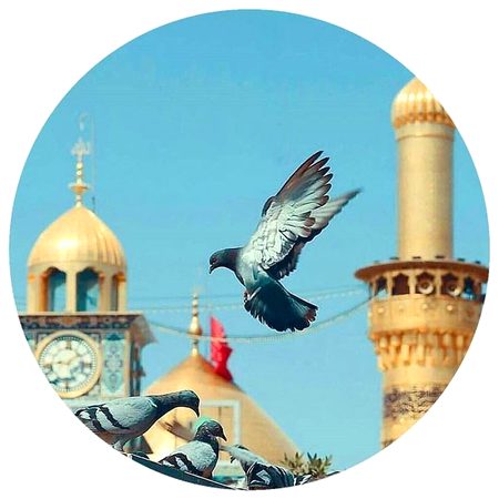 Beautiful Nature image