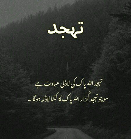 Islamic Quotes image