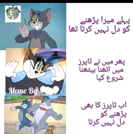 Memes & Satire image