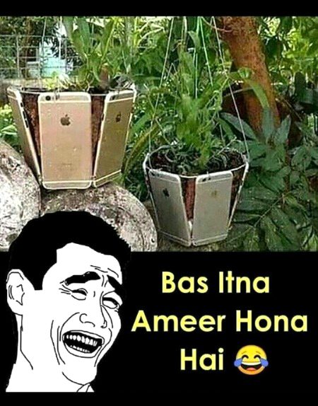 Memes & Satire image