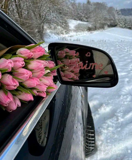 Beautiful Nature image