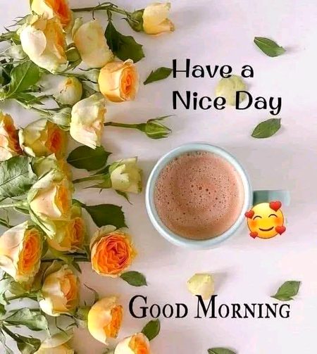 جب چائے کا دھواں اُٹھتا ہے
تو کئی اداسیاں خود بخود بیٹھ جاتی ہیں۔
Have a Nice day with cup of tea ☕