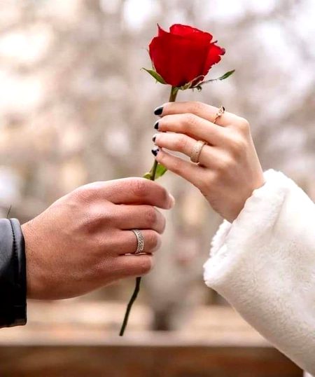 Beautiful Nature image