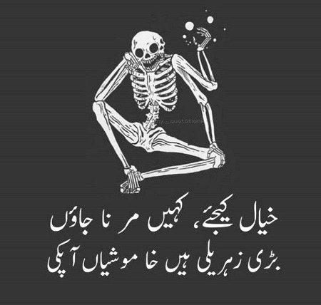 Kashif_Rajpoot