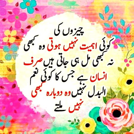 Insan nhi milty