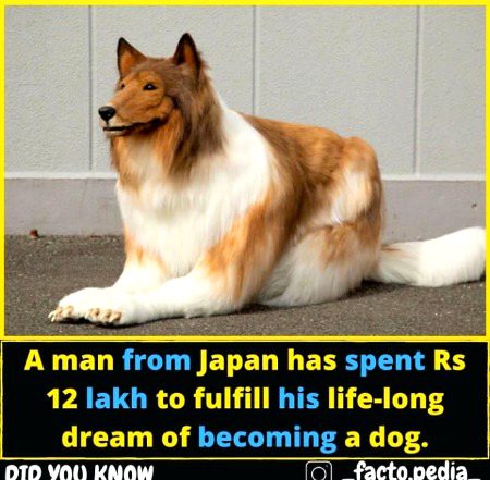 Interesting Posts image