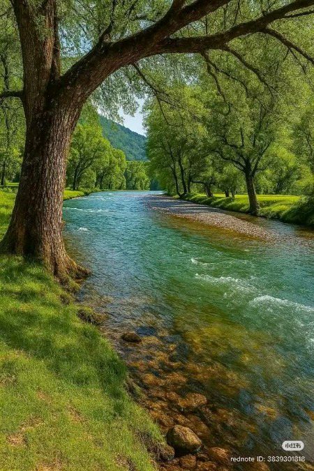 Beautiful Nature image