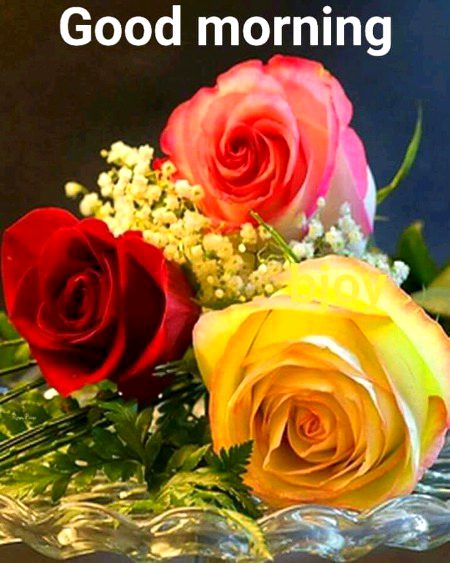 Beautiful Nature image