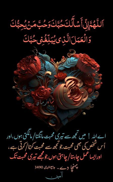 Islamic Quotes image