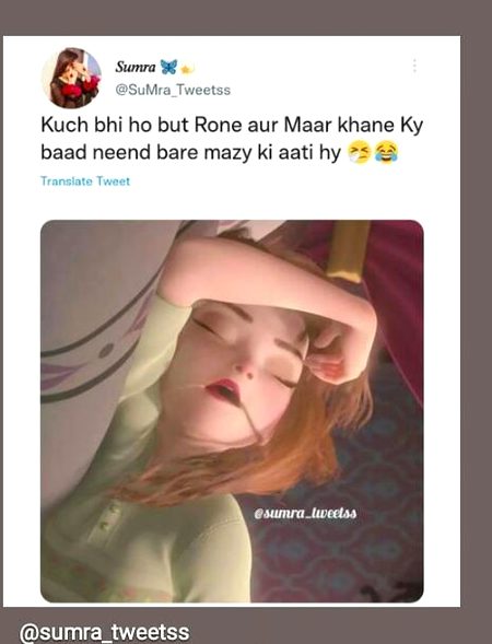 Memes & Satire image