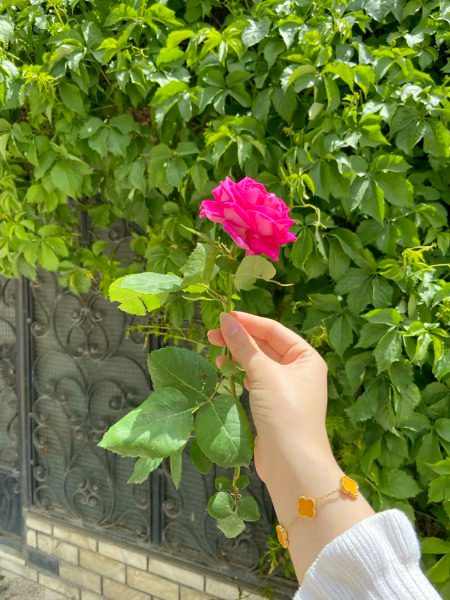 Beautiful Nature image