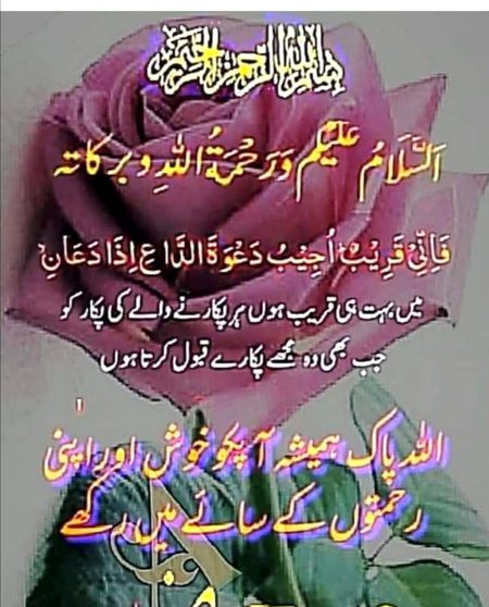 Islamic Quotes image