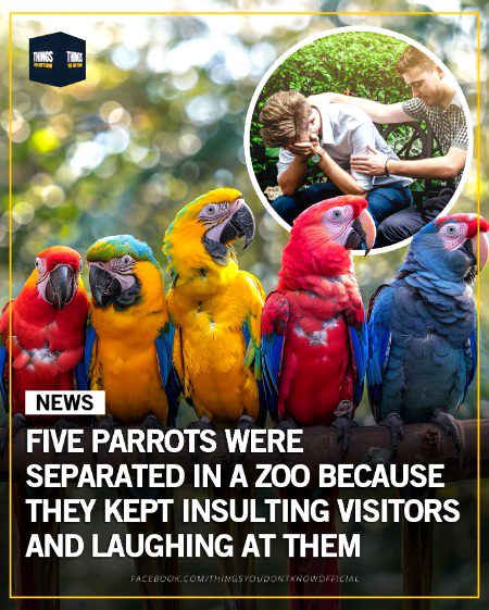 Bary hi koi shararti ha