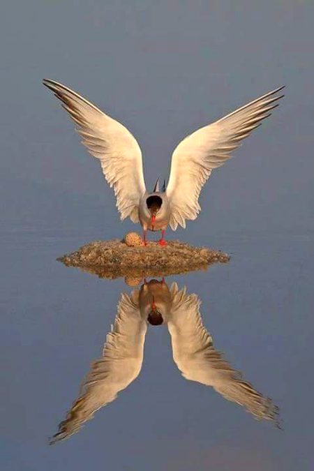 Beautiful Nature image