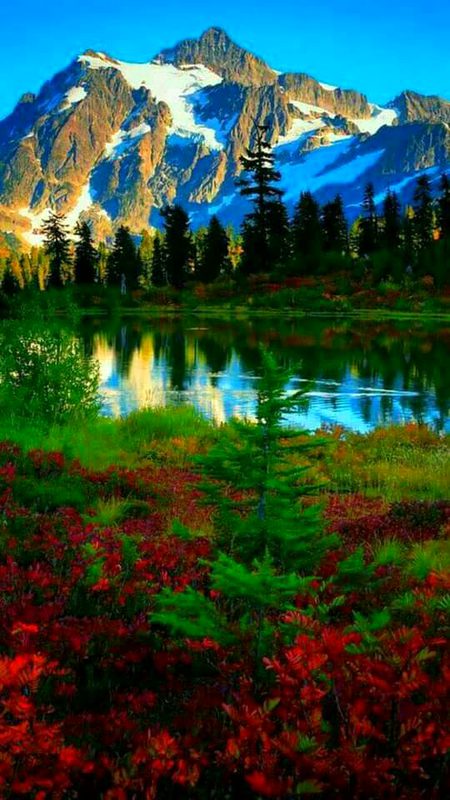 Beautiful Nature🔥