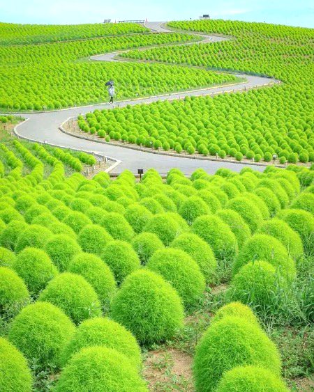 Beautiful Nature image