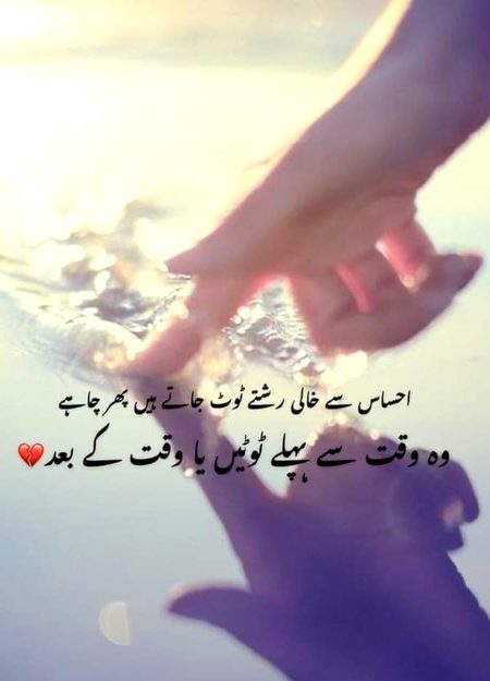 💚❤️🖤💚❤️🖤💚❤️🖤