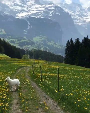 Beautiful Nature image