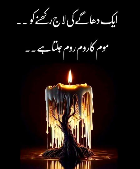 Saanaam ❣️❣️🥀🥀