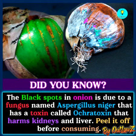 𝘿𝙤 𝙔𝙤𝙪 𝙠𝙣𝙤𝙬 𝙩𝙝𝙞𝙨 𝘽𝙚𝙛𝙤𝙧𝙚?