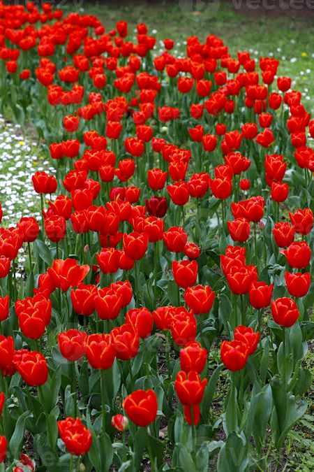 Beautiful Nature image