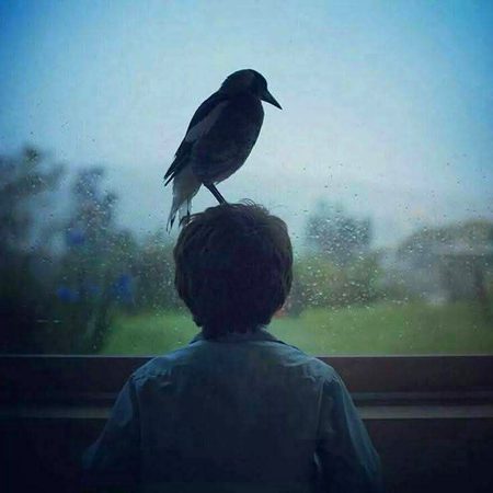 Beautiful Nature image