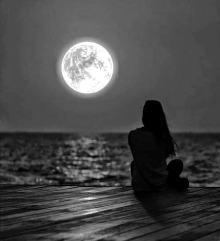 وقت پر گلاب پیش کرنا سِتارے
توڑ کر لانے سے کہیں بہتر ہے..!! ❤️🥀