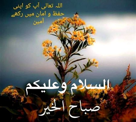 Subh bkhyr