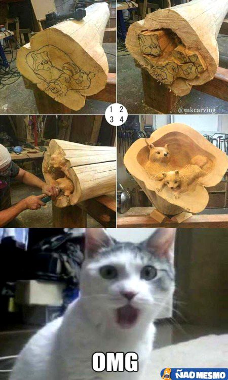 Memes & Satire image