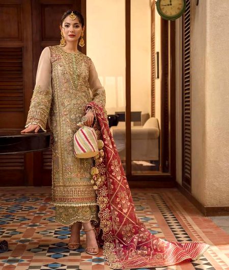 Pakistani Celebs image