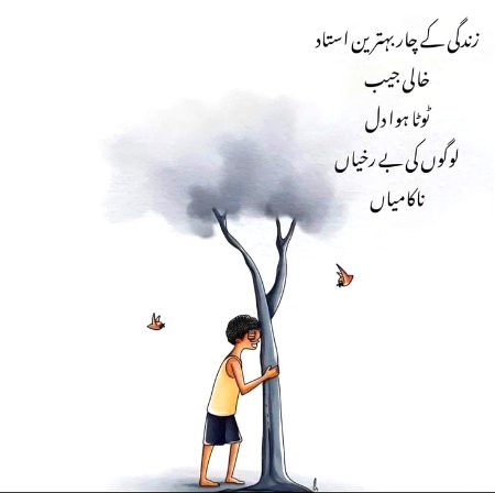 Hy hy zindgi ji S