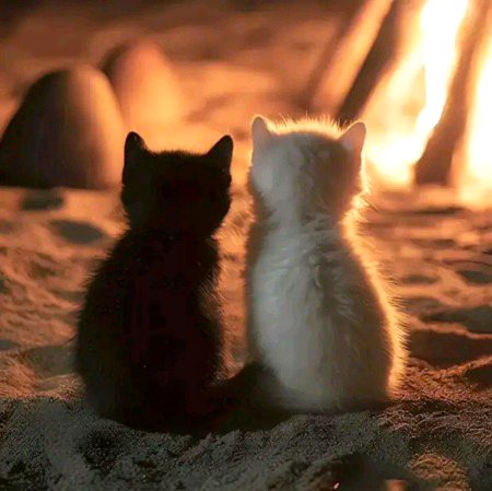 🌝❤️اب لاکھ تیرے در کے دریچے کُھلے رہیں،🌺💕
||آواز مر گئی،تو صدائیں کہاں سے دوں۔🌚🩷🎈