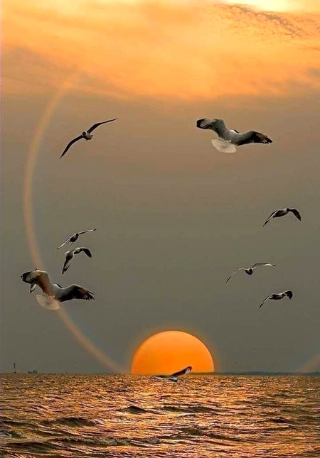 Beautiful Nature image
