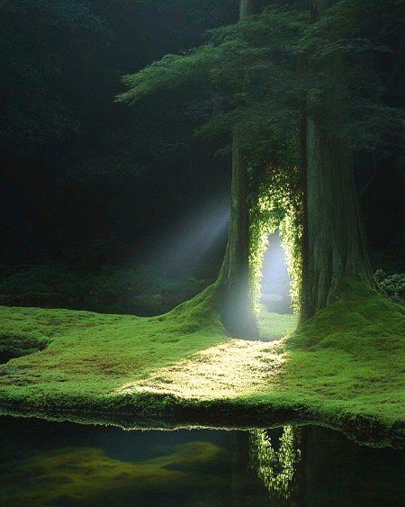 Beautiful Nature image