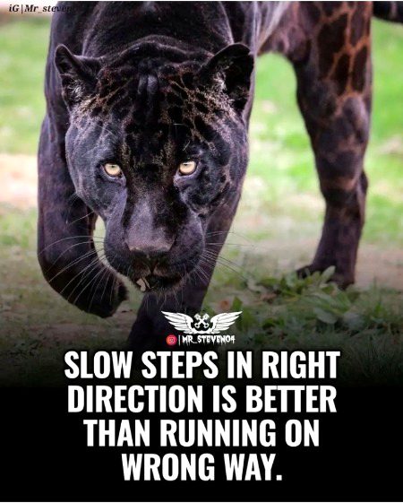 Motivational Quotes image
