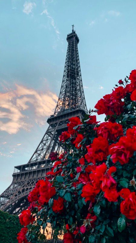 Beautiful Structures image
