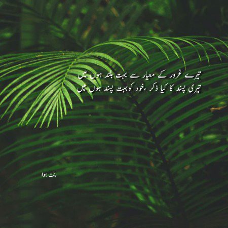 Attitude Poetry image