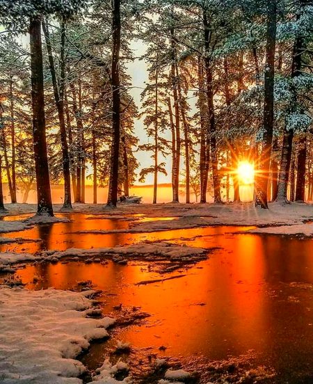 Beautiful Nature image
